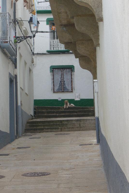 P1030080 