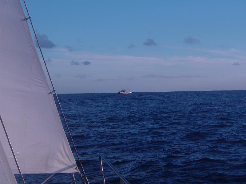 DSC07554 