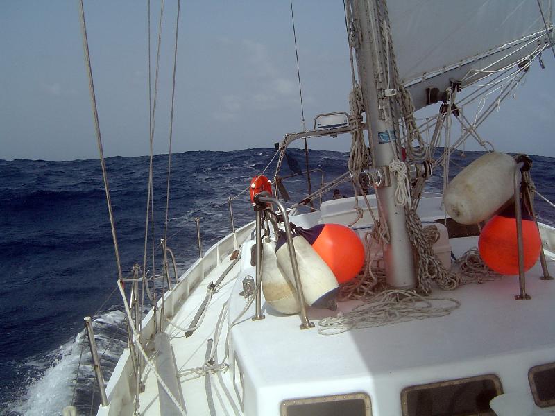 DSC07693 