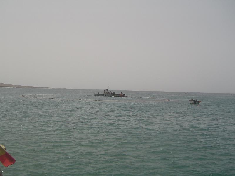 DSC07730 