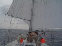 DSC07703 