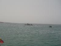 DSC07730 