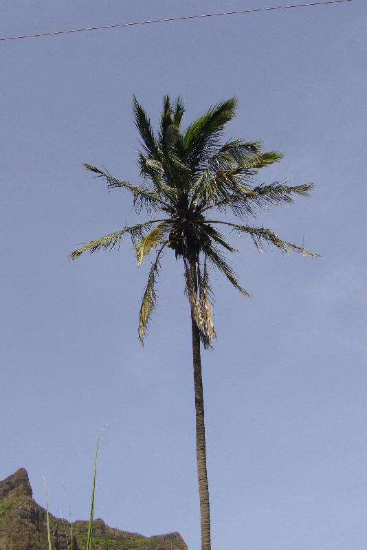 P1030694 