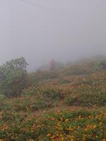 DSC07835