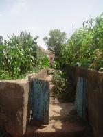 DSC07857 