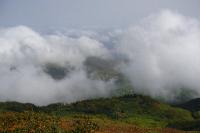 P1030675 