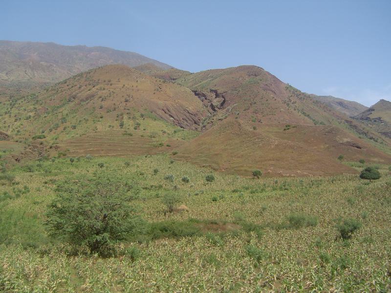 DSC08074 