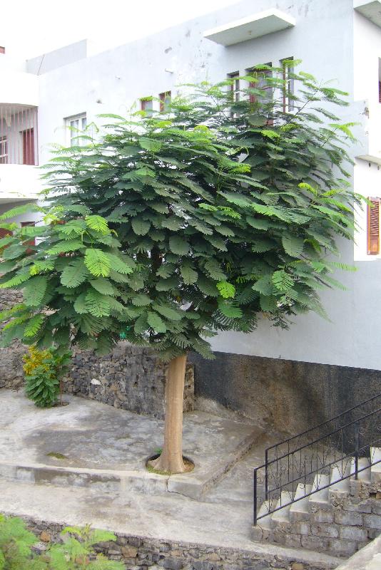 P1030958 