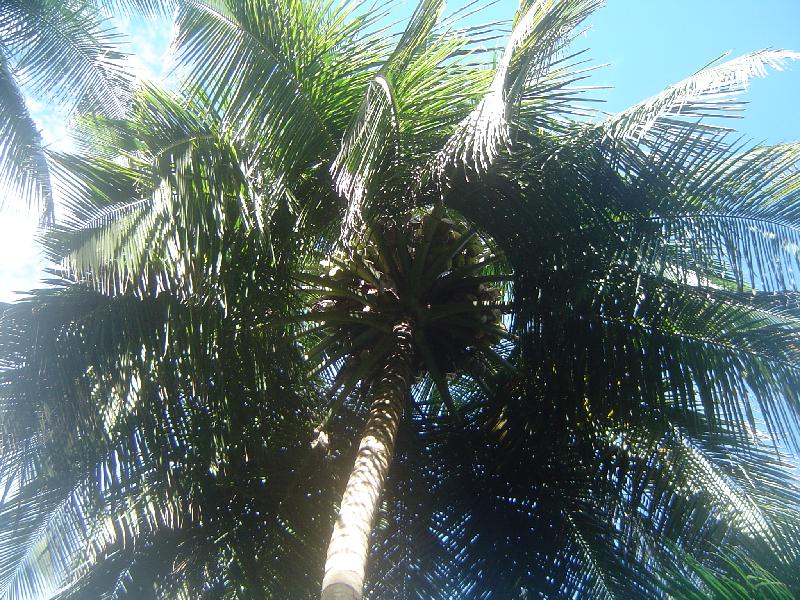 DSC08345 