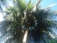 DSC08345 
