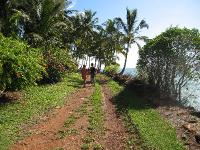 IMG_0702 