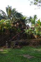 P1040196 