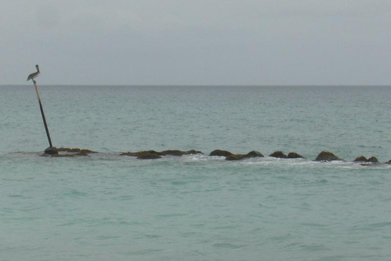 P1040591 