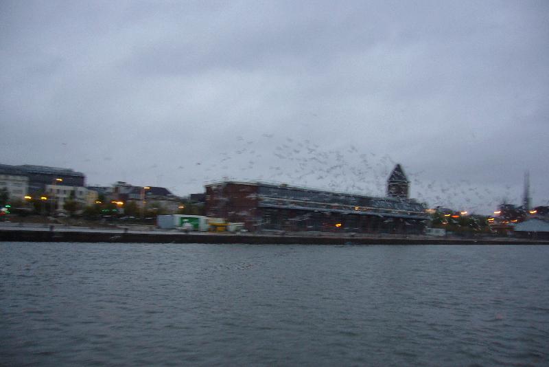 P1020639 