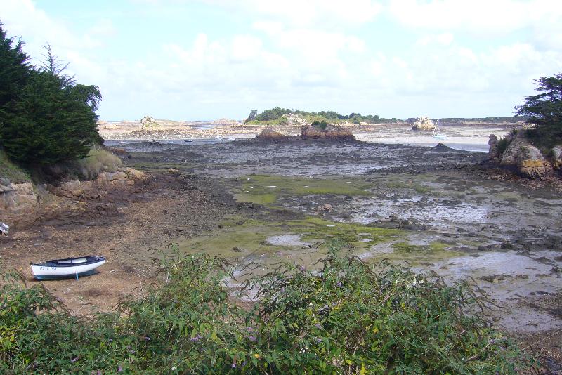 P1020766 
